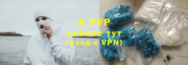 молекула духа Бронницы