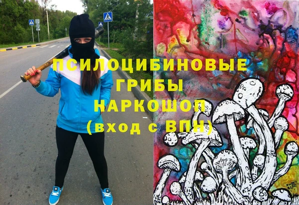 дурь Верея